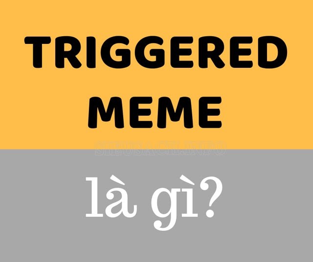 Triggered là gì