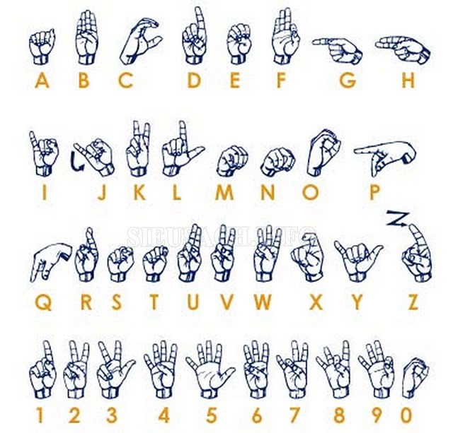 Hệ thống ngôn ngữ ký hiệu