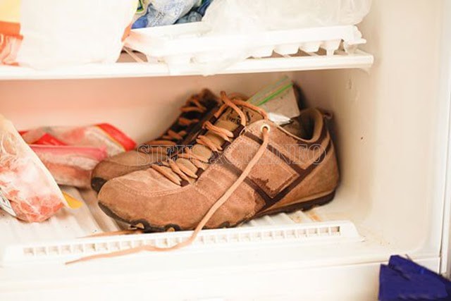 Bạn nhớ buộc giày thật chặt và kỹ trước khi cho vào tủ lạnh nhé!