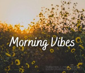 Morning-vibes-nang-luong-tich-cuc