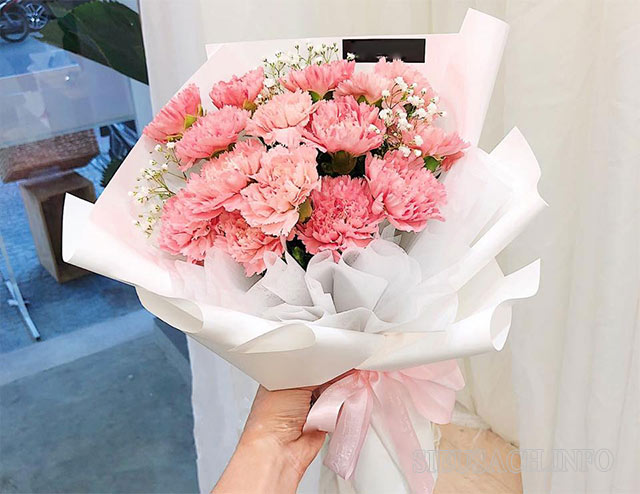 Hoa cẩm chướng được nhiều người lựa chọn để dành tặng mẹ