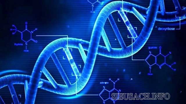 Tìm hiểu về khái niệm mã di truyền trong Sinh học 12