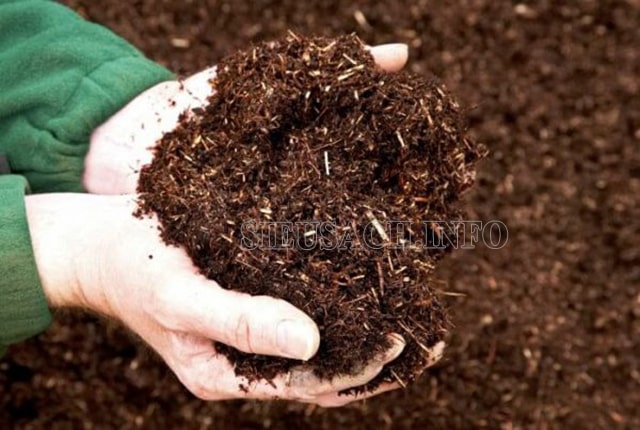 Cải tạo đất sét bằng cách bổ sung chất hữu cơ