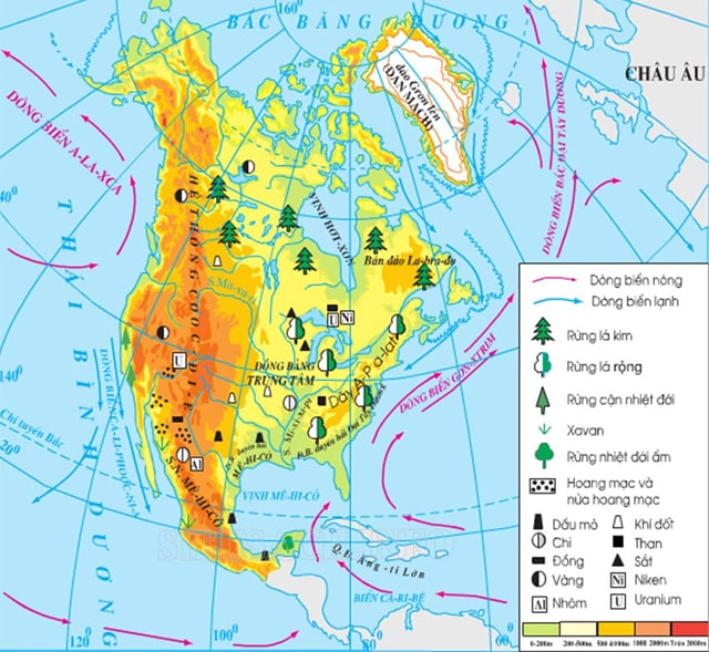 Sự phân hoá thảm thực vật ở Bắc Mỹ