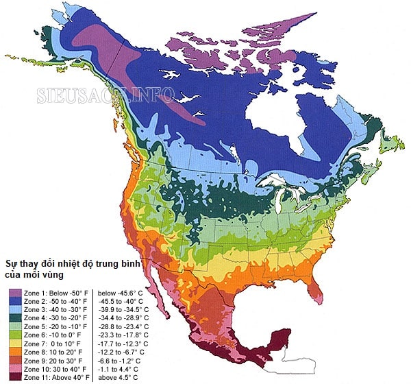 Khí hậu Bắc Mĩ có sự phân hóa rõ rệt