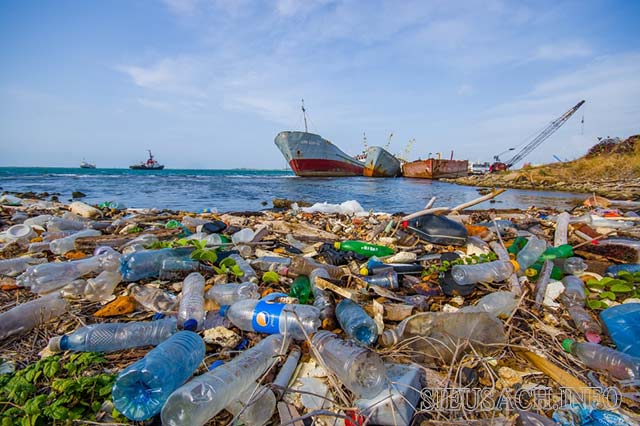 Rác thải nhựa gây ô nhiễm môi trường và ảnh hưởng đến sức khỏe con người