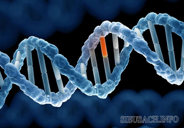 Bài tập vận dụng hoán vị gen và liên kết gen