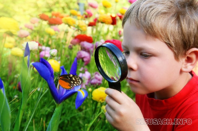Trẻ tò mò, thích khám phá về mọi thứ xung quanh mình