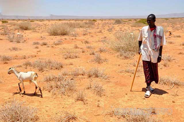 Các nước ở châu Phi có khí hậu khô nóng