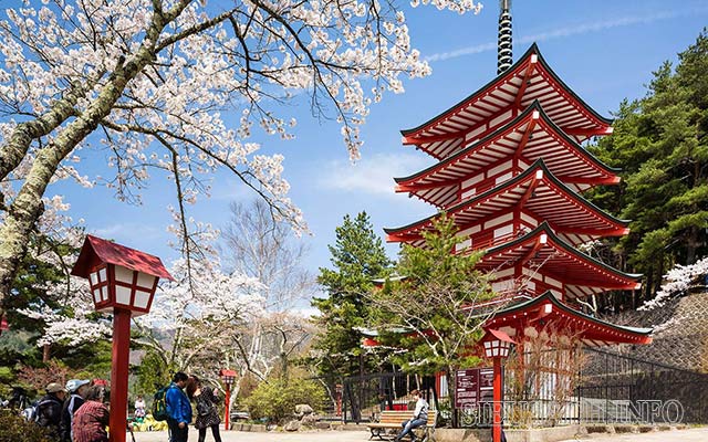 Đi du lịch Nhật Bản nên đi vào mùa nào thì đẹp nhất