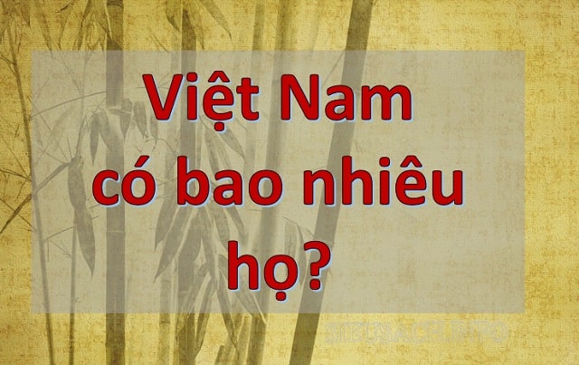 Tìm hiểu về số lượng họ ở Việt Nam