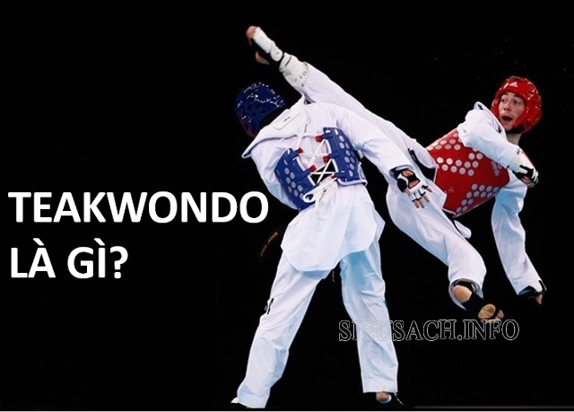 Taekwondo là môn võ chủ yếu sử dụng chân và tay