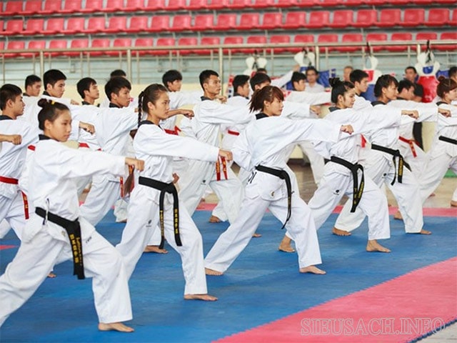 Tập võ Karate giúp tăng cường sức khỏe dẻo dai