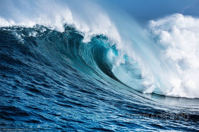 Sóng biển là sự dao động của nước biển trong đại dương