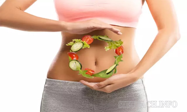 Tiêu hóa là quá trình tiêu hóa thức ăn biến đổi các chất dinh dưỡng thành năng lượng cho cơ thể