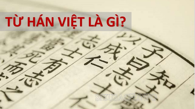Từ Hán Việt là từ mượn có nguồn gốc từ Trung Quốc