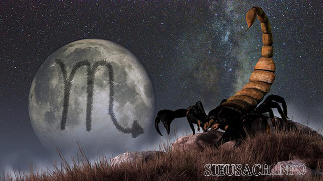 Cung Hổ Cáp có biểu tượng là con bọ cạp
