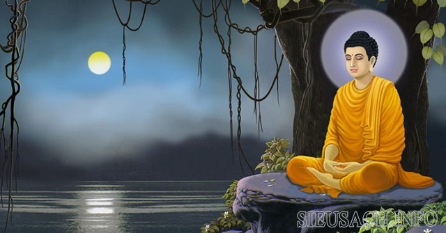 Đức Phật Thích Ca Mâu Ni ngồi thiền 49 ngày dưới cội bồ đề