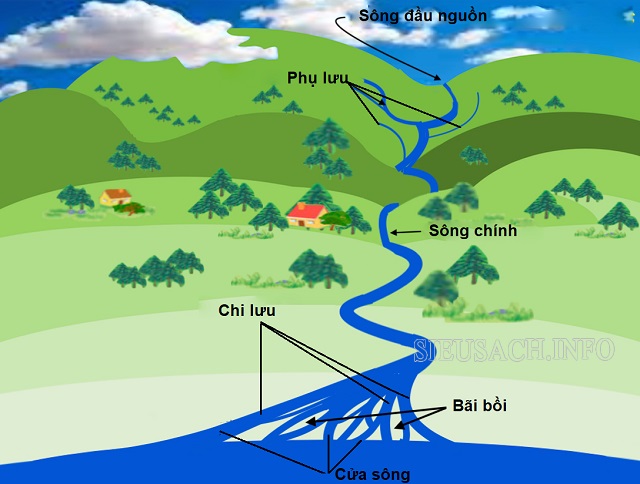 Chi lưu là hiện tượng những nhánh sông tỏa ra từ sông chính