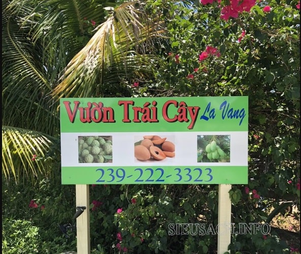 vườn trái cây Việt Nam tại Florida