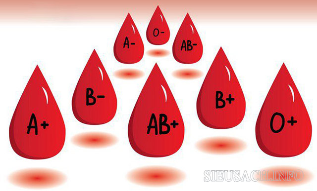 Enigma ABO giúp phân loại các nhóm máu trong y học