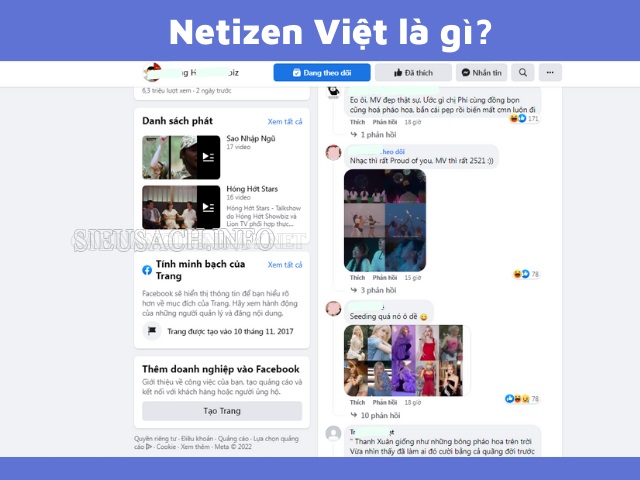 Netizen Việt là gì?