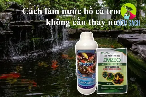 Thiết Lập Hệ Sinh Thái Bể Cá Tự Cân Bằng Thiết Lập Hệ Sinh Thái Bể Cá Tự Cân Bằng