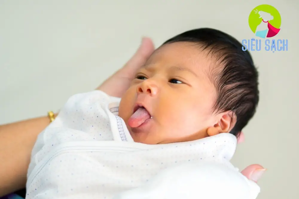 Dụng Cụ Cần Thiết Dụng Cụ Cần Thiết