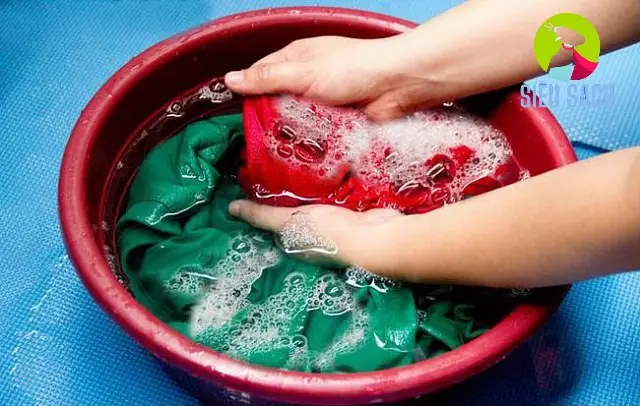 Các Phương Pháp Làm Sạch Nhựa Mít Hiệu Quả Các Phương Pháp Làm Sạch Nhựa Mít Hiệu Quả