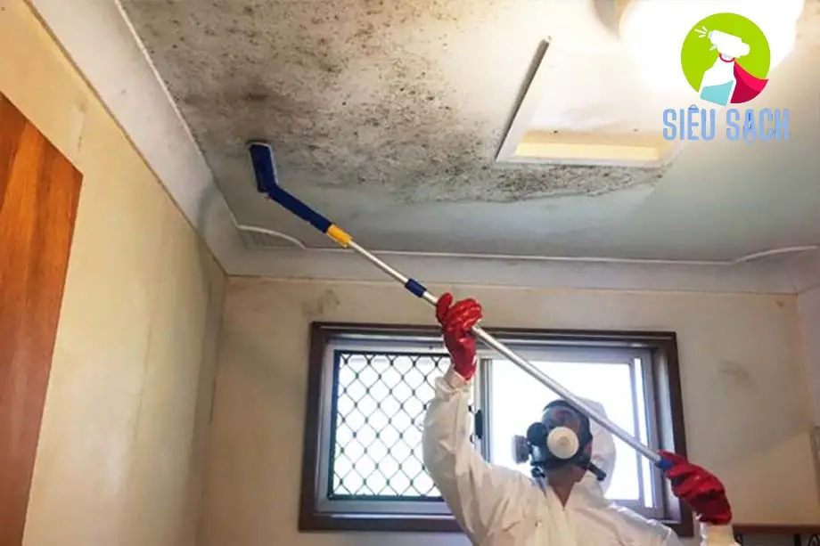 Các Phương Pháp Làm Sạch Mốc Trần Nhà Các Phương Pháp Làm Sạch Mốc Trần Nhà