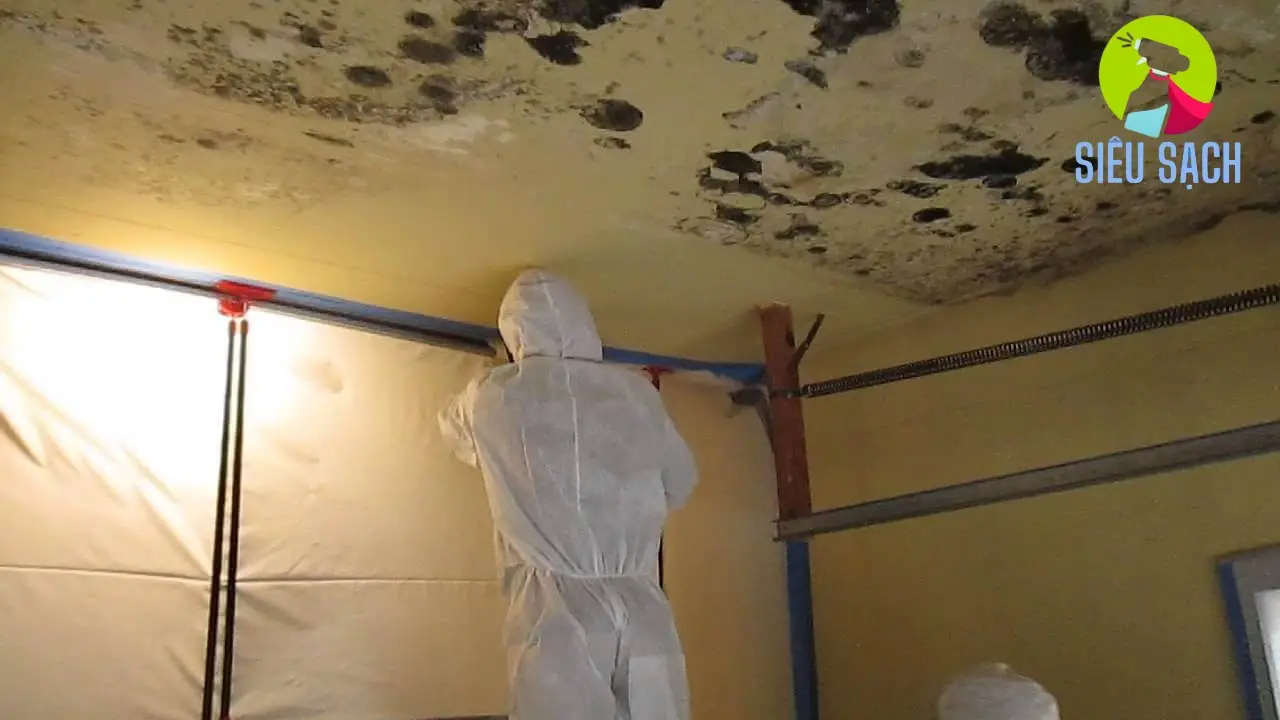 Các Phương Pháp Làm Sạch Trần Nhà Bị Mốc An Toàn và Hiệu Quả Các Phương Pháp Làm Sạch Trần Nhà Bị Mốc An Toàn và Hiệu Quả