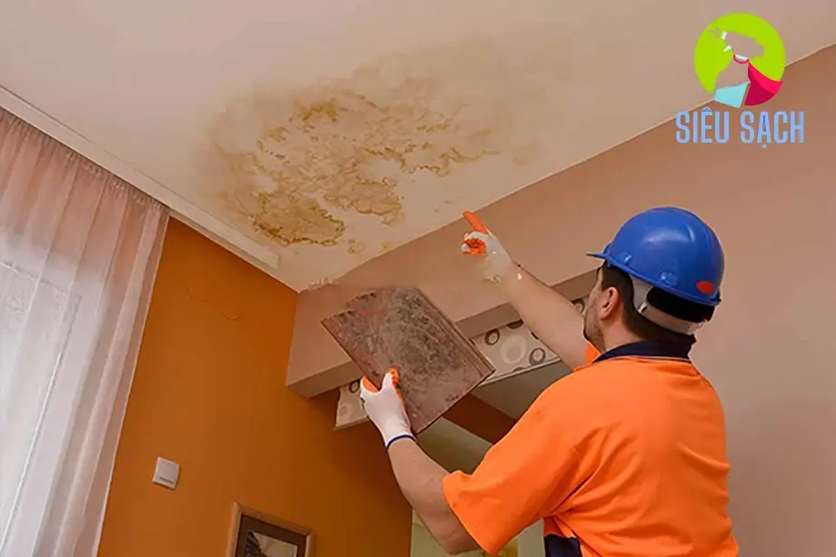 Biện Pháp Phòng Ngừa Mốc Tái Phát Biện Pháp Phòng Ngừa Mốc Tái Phát