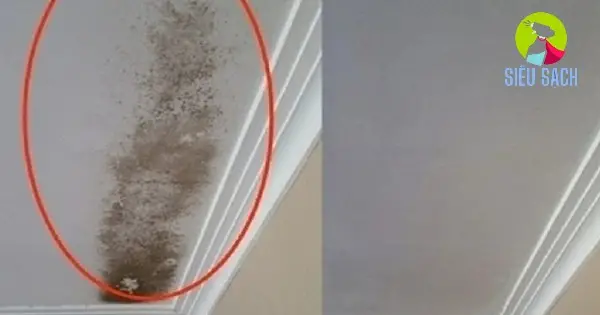 Sử Dụng Nước Javel Sử Dụng Nước Javel