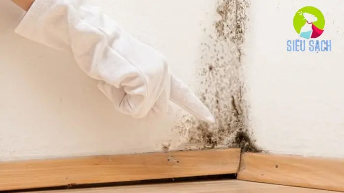 Sử dụng baking soda để loại bỏ vết bẩn cứng đầu Sử dụng baking soda để loại bỏ vết bẩn cứng đầu