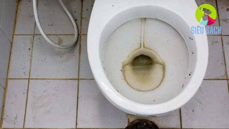 cach tay nha ve sinh bi o vang toan dien 69183ee87ea2a