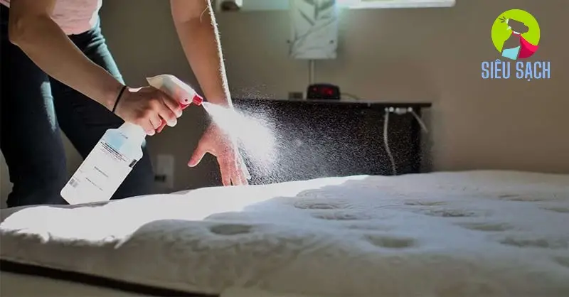 Các Phương Pháp Vệ Sinh Nệm Cao Su Nhân Tạo Hiệu Quả Các Phương Pháp Vệ Sinh Nệm Cao Su Nhân Tạo Hiệu Quả