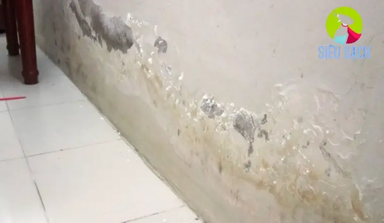 lam sach tuong nha bi moc 69183fcb658e1