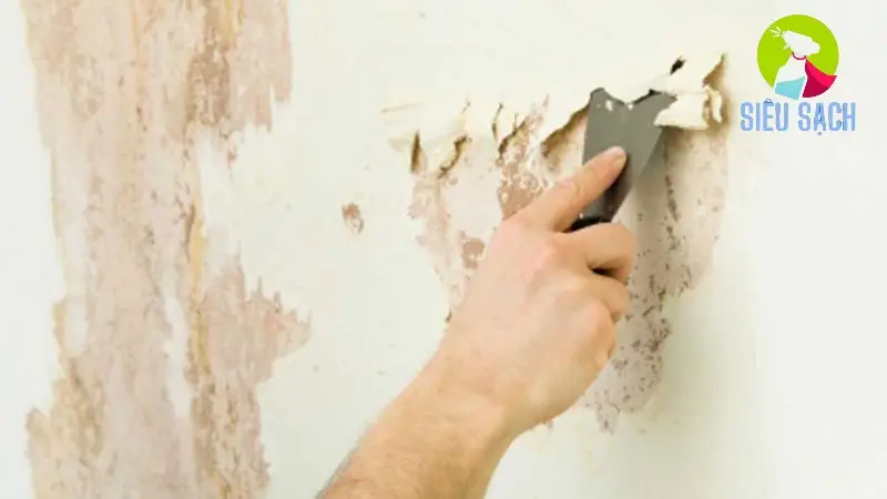 Các Bước Làm Sạch Chi Tiết Các Bước Làm Sạch Chi Tiết