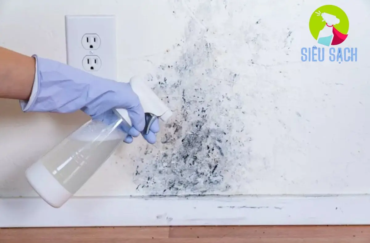 Các Phương Pháp Làm Sạch Tường Bị Mốc Các Phương Pháp Làm Sạch Tường Bị Mốc
