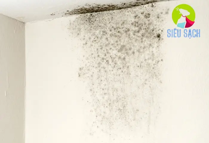 Chuẩn Bị Dụng Cụ Chuẩn Bị Dụng Cụ