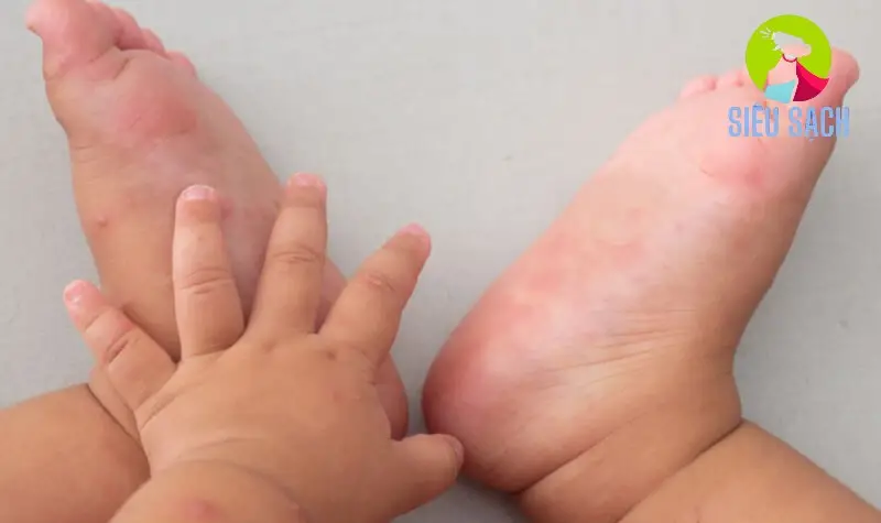 Đồ chơi và vật dụng cá nhân của bé Đồ chơi và vật dụng cá nhân của bé