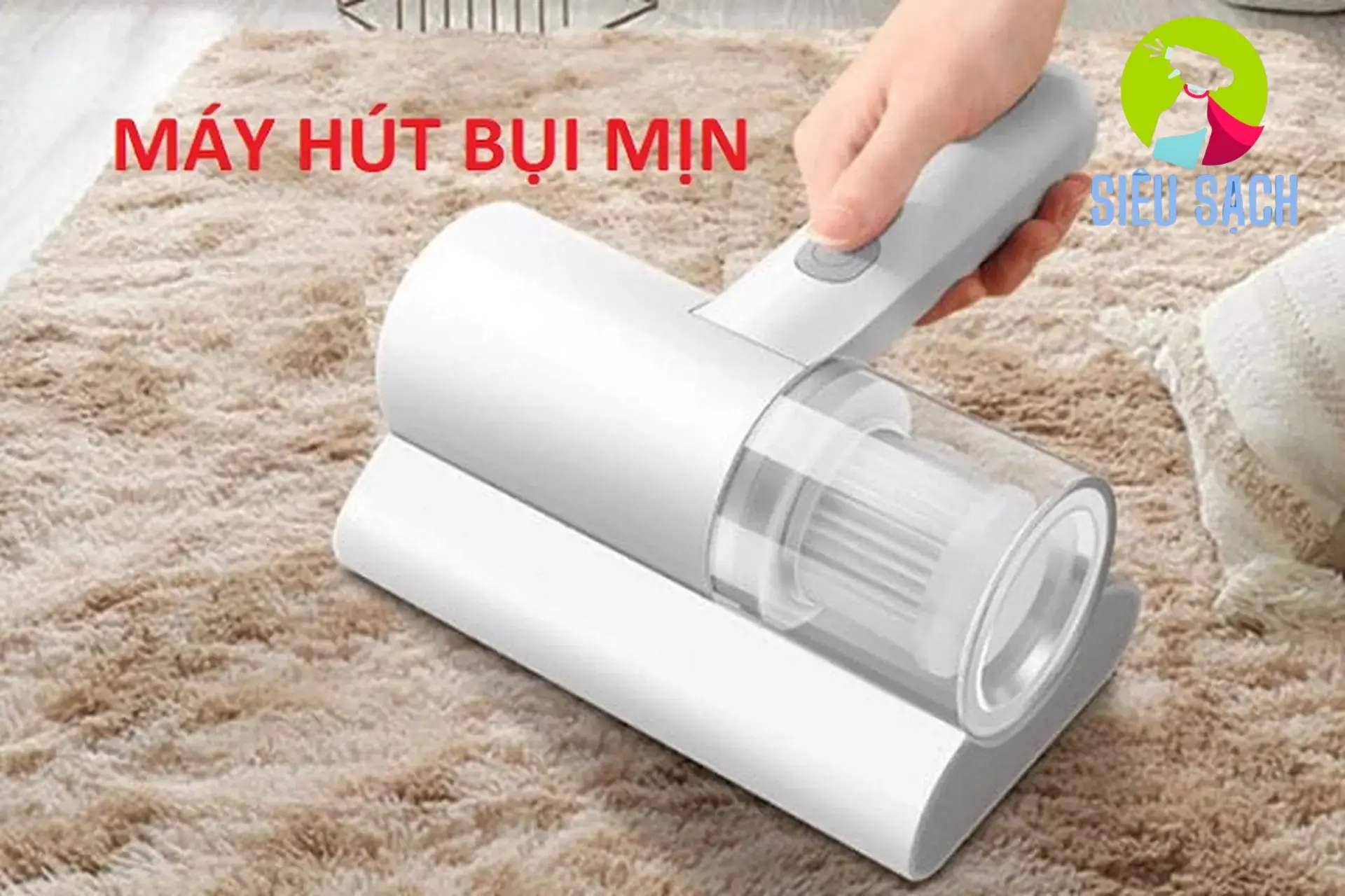 Sử Dụng Bàn Chải Và Lược Chuyên Dụng Sử Dụng Bàn Chải Và Lược Chuyên Dụng