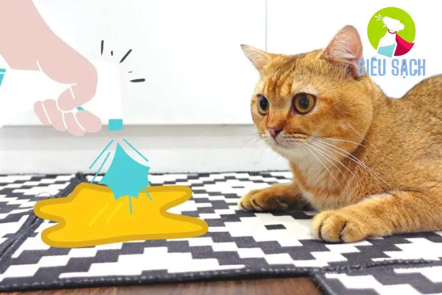 Các phương pháp khử mùi nước tiểu mèo tự nhiên và hiệu quả Các phương pháp khử mùi nước tiểu mèo tự nhiên và hiệu quả