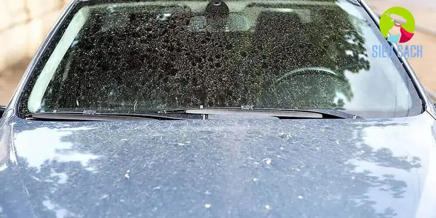 Sử Dụng Rượu Trắng hoặc Cồn Y Tế Sử Dụng Rượu Trắng hoặc Cồn Y Tế