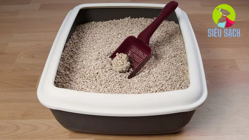 Lựa Chọn Khay Cát và Cát Vệ Sinh Phù Hợp