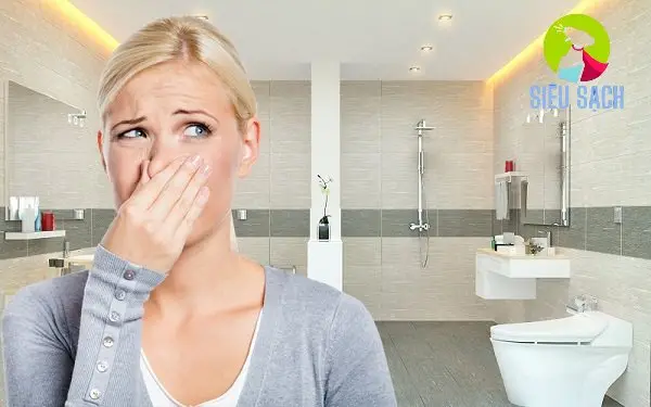 Các Biện Pháp Phòng Ngừa Mùi Hôi Cống Nhà Tắm Các Biện Pháp Phòng Ngừa Mùi Hôi Cống Nhà Tắm