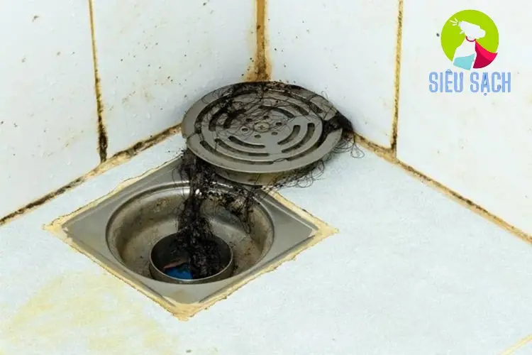 Các Mẹo Xử Lý Mùi Hôi Cống Nhà Tắm Đơn Giản Tại Nhà Các Mẹo Xử Lý Mùi Hôi Cống Nhà Tắm Đơn Giản Tại Nhà