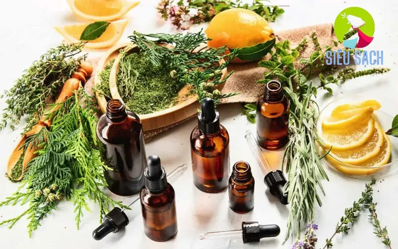 Lợi Ích Khi Chọn Mỹ Phẩm Thuần Chay Lợi Ích Khi Chọn Mỹ Phẩm Thuần Chay