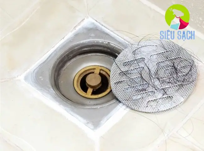 Mẹo Xử Lý Mùi Hôi Từ Cống Nhà Tắm Gây Khó Chịu